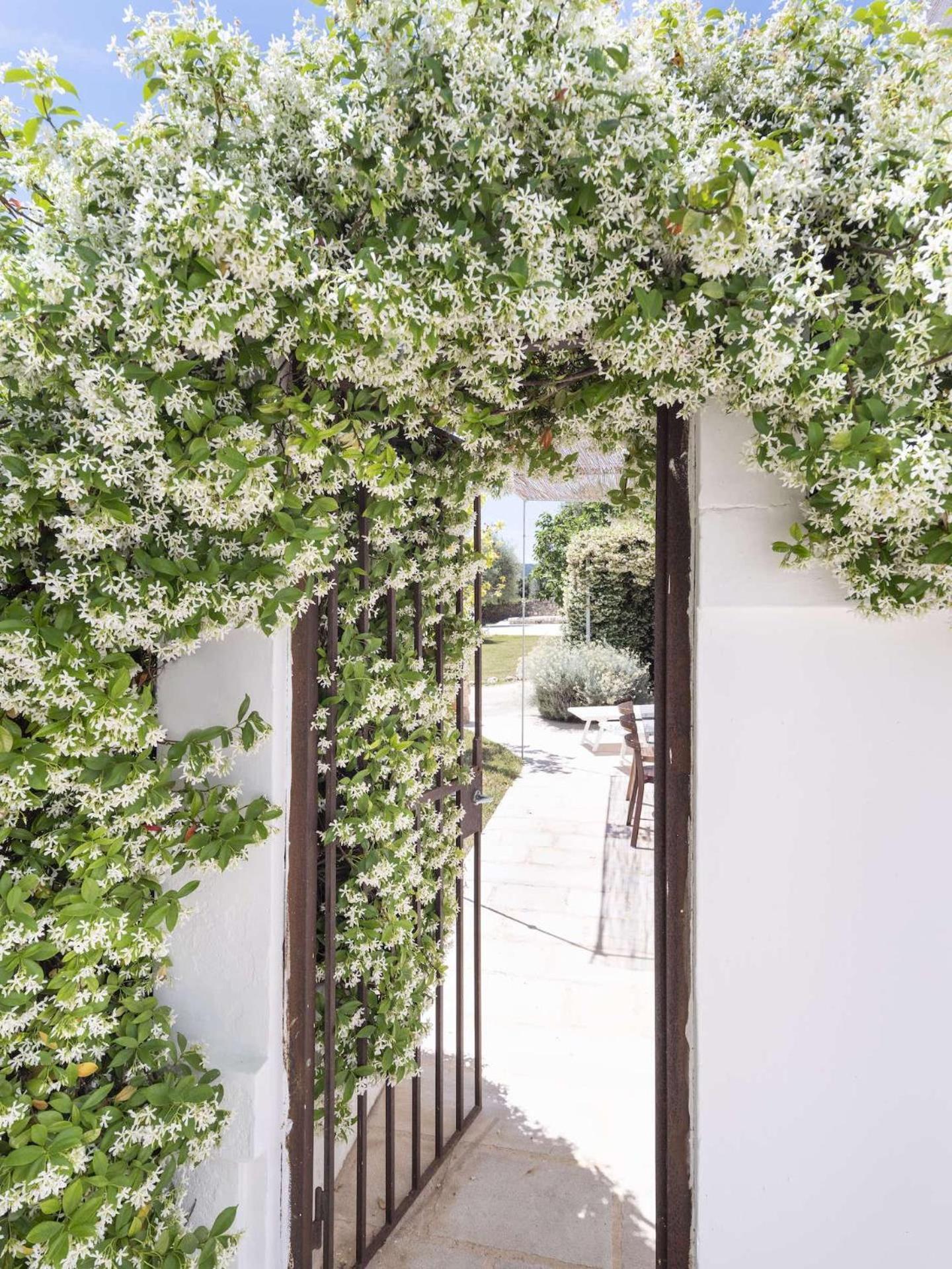 Masseria Alchimia Fasano Exteriör bild